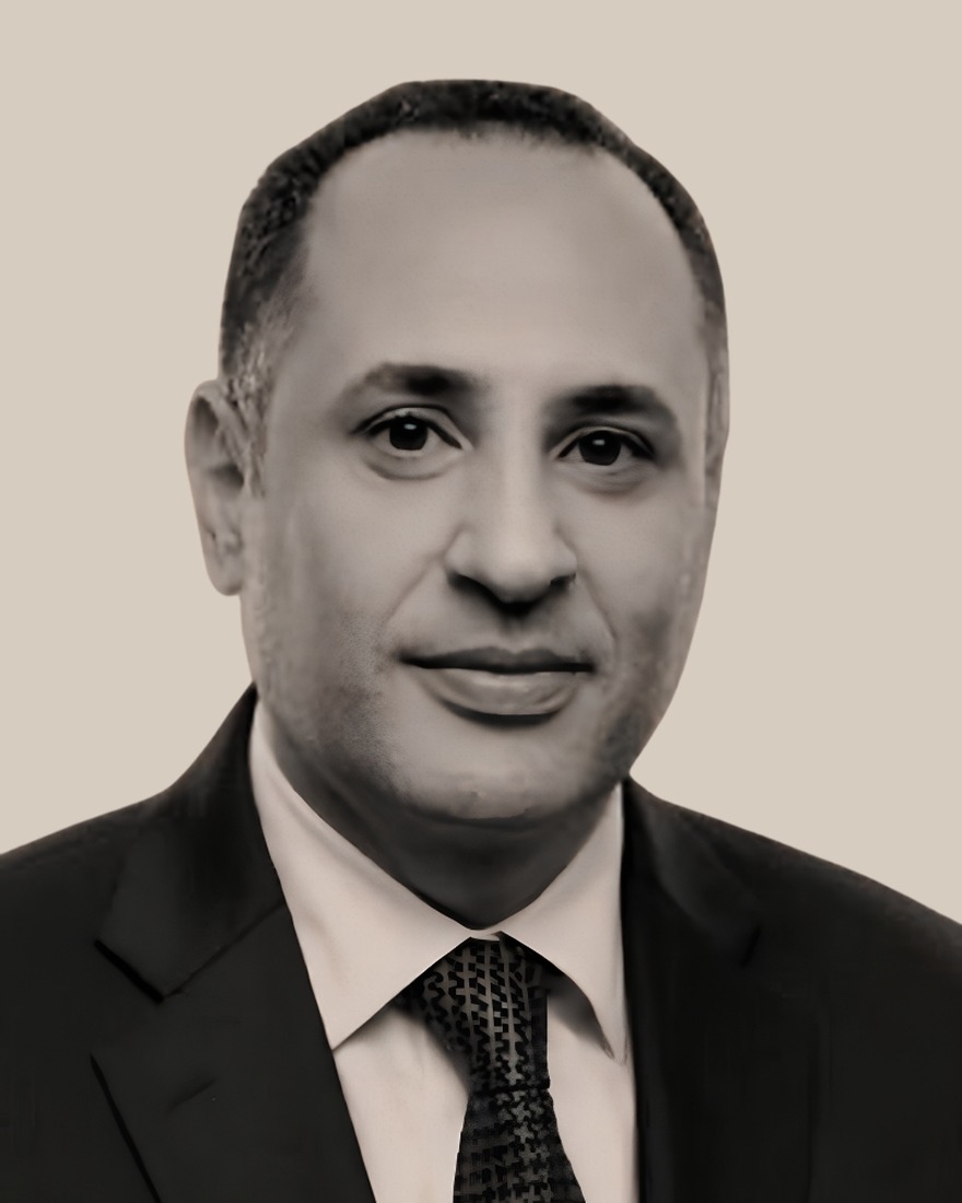 Hisham Ali M. Saeed